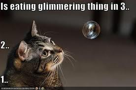 Kitty looks at a shiny bubble