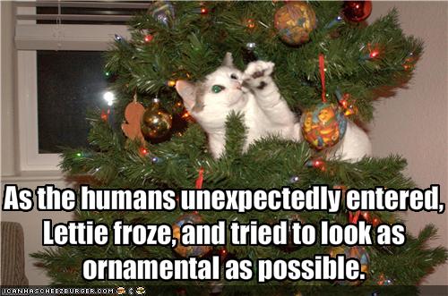 lolcat in Christmas tree