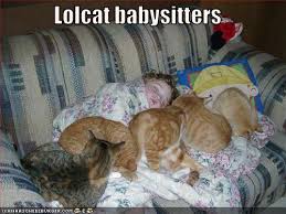 Need a babysitter?  Call 1-800- LOLCATS