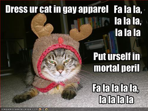 Christmas costumed LOLcat