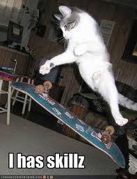 Cat with mad skills on a skateboard