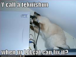 lolcat technician kitty working on computer