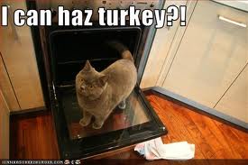 Cat wants turkey