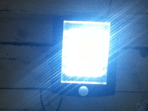 Kitty Shack 36 LED Solar Lighting